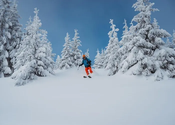 Appartamento & Sun B9